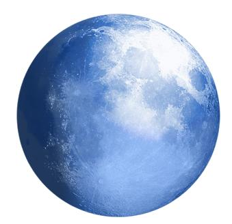 Pale moon浏览器