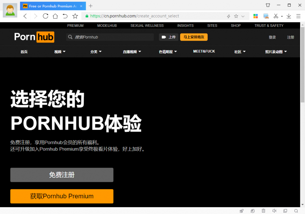 使用360极速浏览器访问P站截图