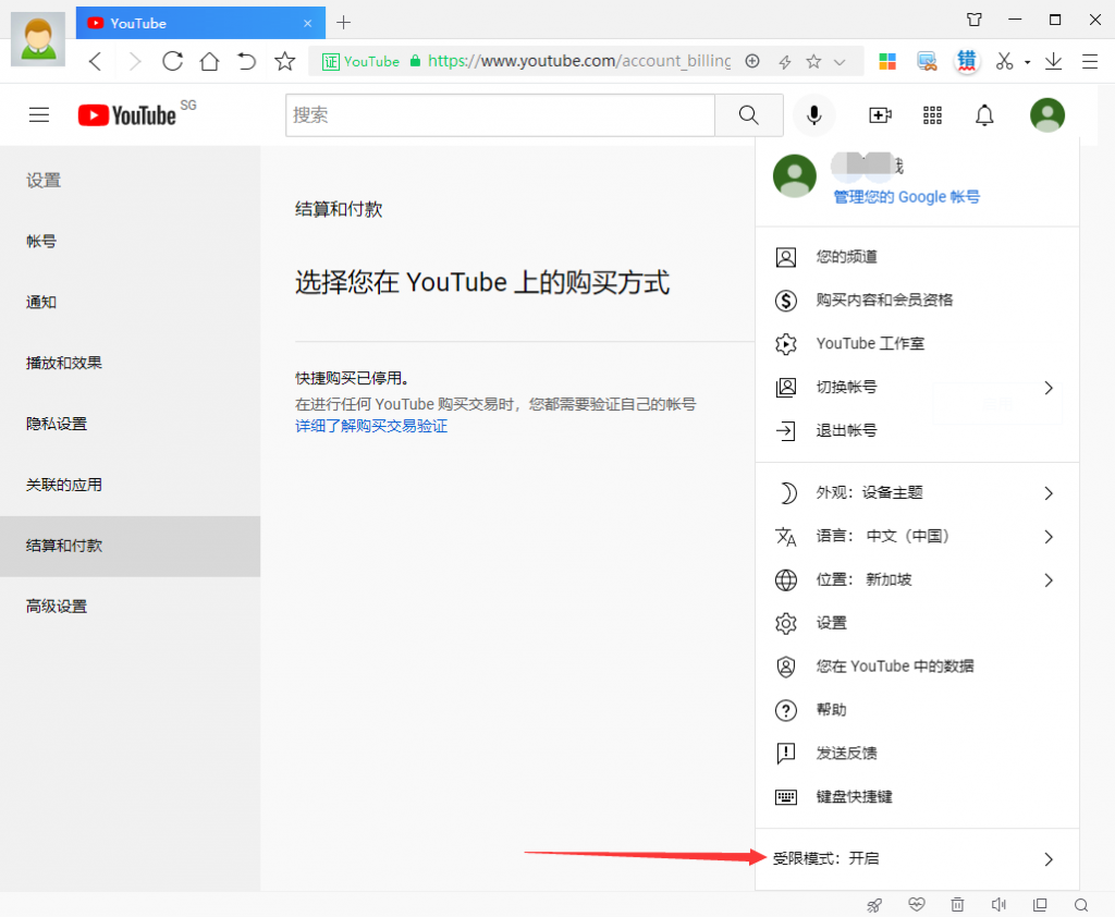 点击“受限模式:开启”的按钮