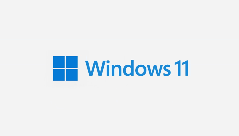 Windows 11